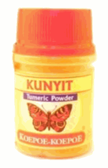 KOEPOE 蝴蝶牌 黃薑粉(Kunyit Bubuk) 25g
