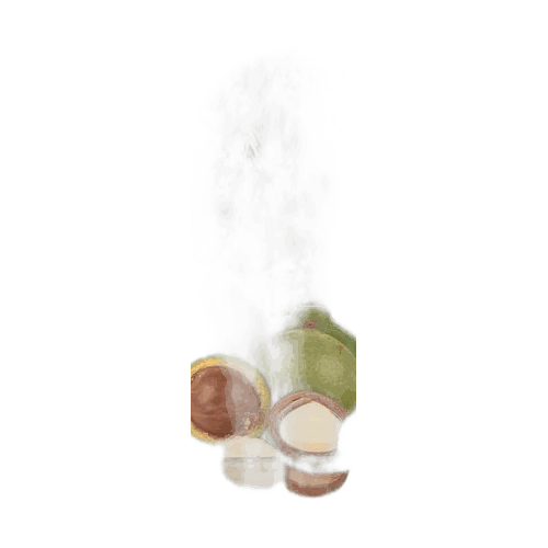 Triệu Phong 夏威夷果(Hạt Mắc Ca) 500g